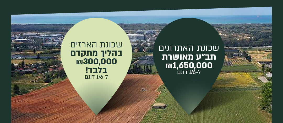 עתודות קרקע אחרונות בשכונת הארזים באליכין